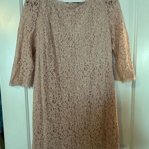 Adrianna Papell Lace Long Sleeve Dress in Blush